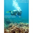 Sewa Rental Alat Diving di Ternate | Menyewakan Peralatan Diving Selam di Ternate Maluku Utara | WWW.KAKALUSHOP.COM