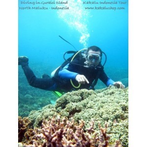 Paket Wisata Diving Pulau Ternate