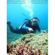 Paket Wisata Diving Pulau Ternate