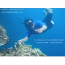 Paket Wisata Snorkeling Pulau Bunaken - Contact Person: 085256305203