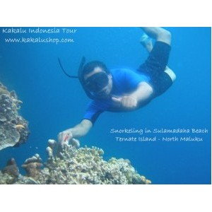 Paket Wisata Snorkeling Pulau Bunaken