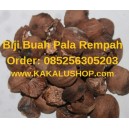 Biji Buah Pala Rempah