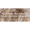 Peluang Usaha Serat Abaca (Musa textilis)