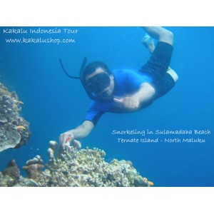 Paket Wisata Snorkeling Pantai Sulamadaha  & Tour Ternate