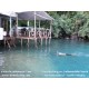 Paket Wisata Snorkeling Pantai Sulamadaha  & Tour Ternate