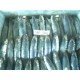 Jual Ikan Momar Size 100-200