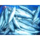 Ikan Deho (Frozen Deho Fish)