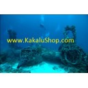 Paket Wisata Diving Pulau Morotai | Wisata Selam Kapal Karam (Wreck) Morotai | Contact Person: 085256305203