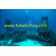 Paket Wisata Diving Pulau Morotai | Wisata Selam Kapal Karam (Wreck) Morotai | Contact Person: 085256305203