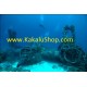 Paket Wisata Diving Pulau Morotai