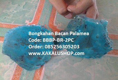 Bongkahan Batu Bacan Palamea Biru Asli Palamea Kasiruta