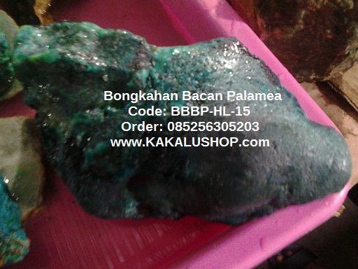 Jual Bongkahan Batu Bacan Palamea 1.3 Kg