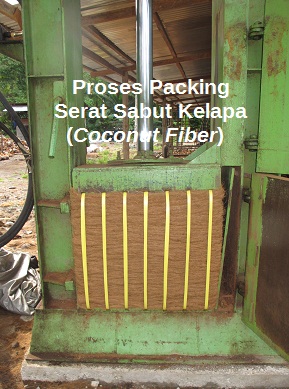 Packing Sabut Kelapa (Coconut Fiber) Kualitas Ekspor